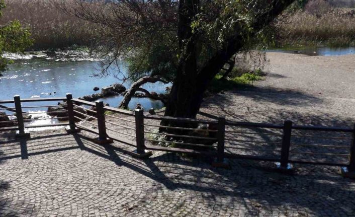 Akyaka Kadın Azmağında doğal dokuyu koruyan çalışma tamamlandı