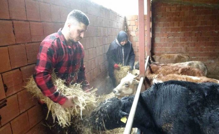 Almanya’dan köyüne döndü, çobanlık yapmaya başladı