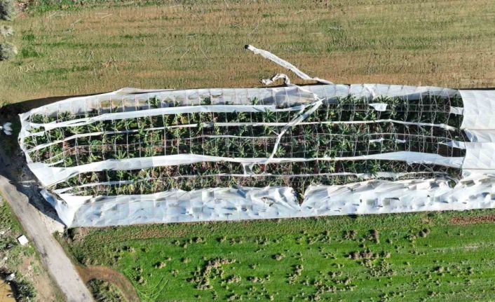 Antalya’da hortumun seralara verdiği zararın boyutu gün yüzüne çıktı