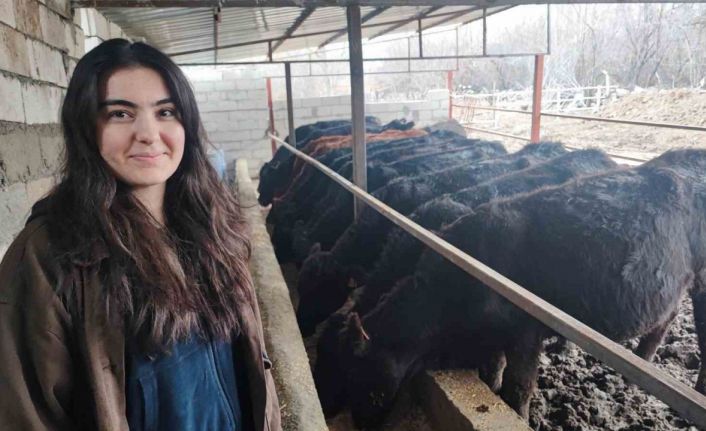 Atama beklerken hayvancılığa başladı