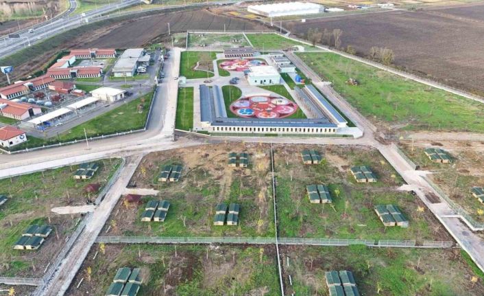 Avrupa standartlarında tesis: Sakarya Büyükşehir, sokak hayvanları için yeni bir dünya kurdu