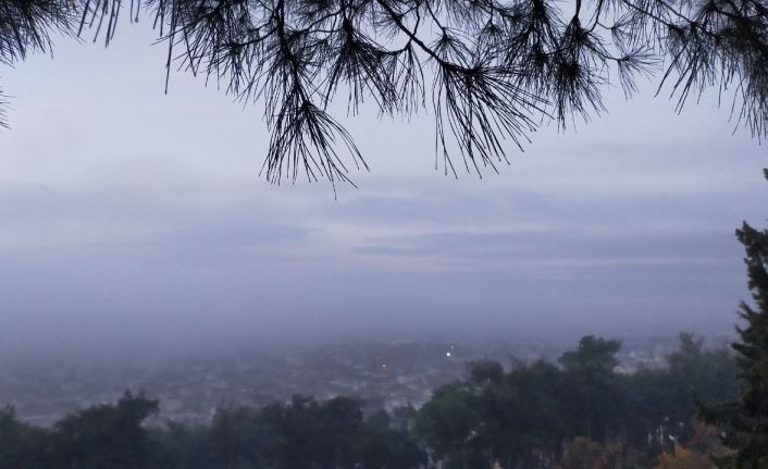 Aydın’da puslu sabah manzaraları mest etti