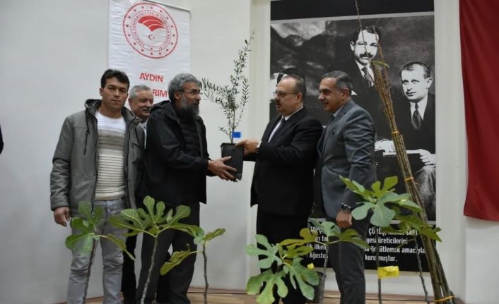 Aydın’da üreticilere 74 bin 90 fide dağıtılacak