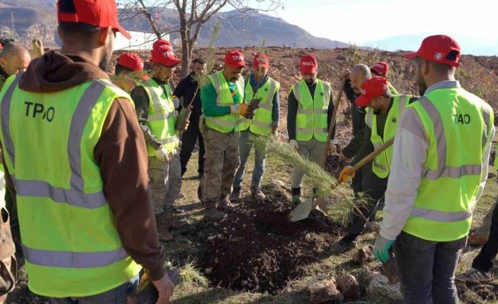 Bakan Bayraktar: "Enerjide tam bağımsız, doğasıyla yeşil bir Türkiye için çalışıyoruz"