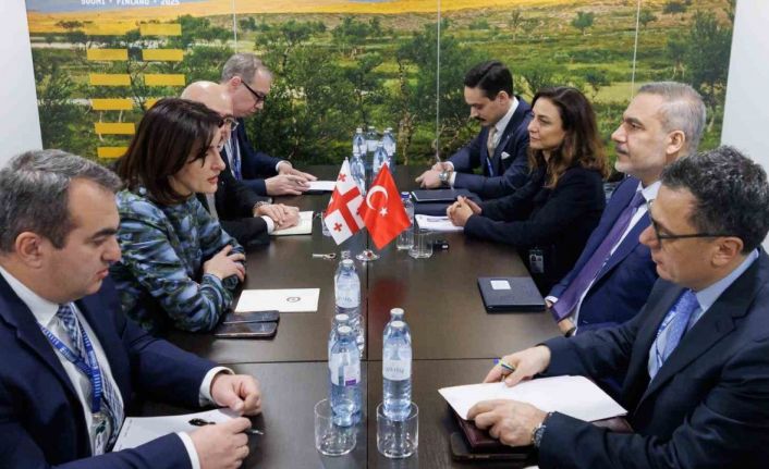 Bakan Fidan, Gürcü mevkidaşı Botchorishvili ile görüştü