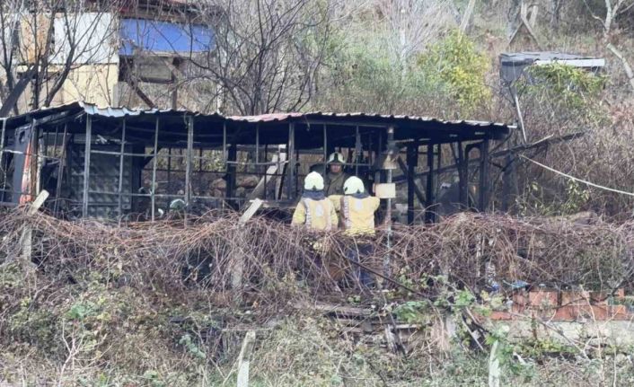Barakadaki sobayı tutuşturmaya çalışırken yangın çıktı: Yaşlı adam hayatını kaybetti