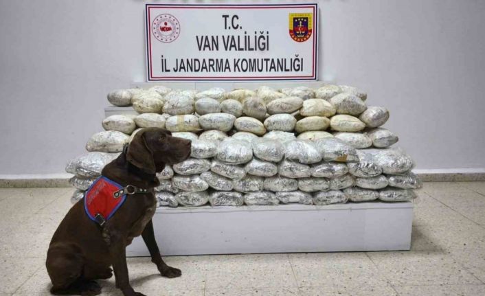 Başkale’de 60 kilo uyuşturucu ele geçirildi