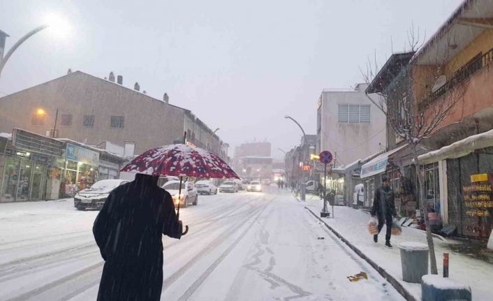 Başkale’de kar yağışı etkili oldu