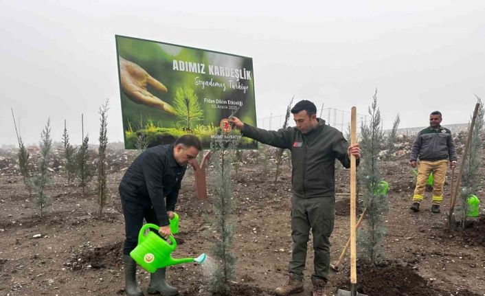 Baybatur’dan yanan orman alanlarına bin fidan