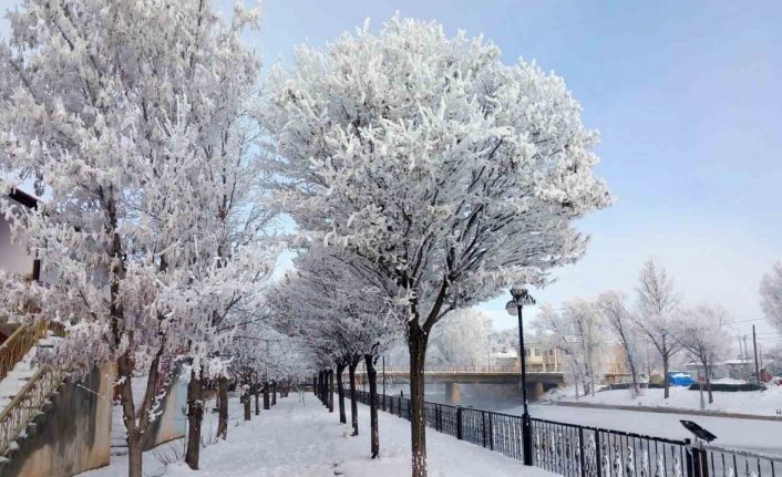 Bayburt’un Arpalı Beldesi güne kar yağışıyla uyandı