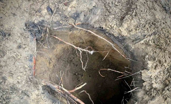 Belarus’ta 180 kaçak göçmen kazdıkları tünelle Polonya’ya geçti