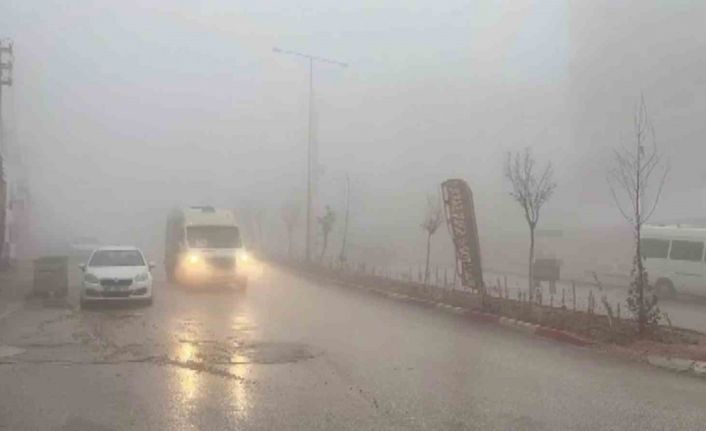 Besni’de yoğun sis etkili oldu