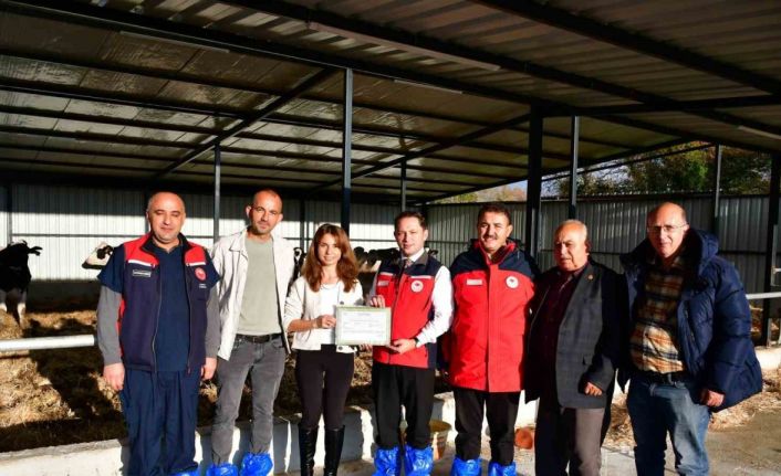 Biga’da kaliteli hayvansal üretim yapan üreticiye Ari İşletme Belgesi