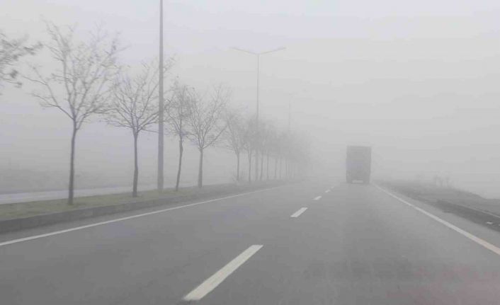 Bingöl’de yoğun sis etkili oldu