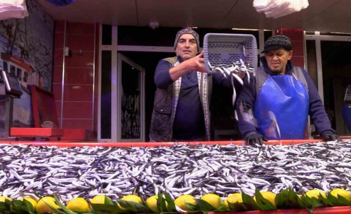 Bolu’da hamsinin kilosu 150 liraya düştü