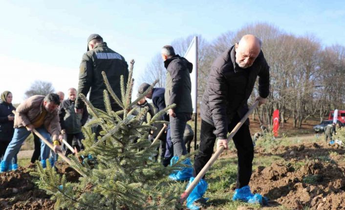 Bolu’da otel faciasında yaşamını yitiren 78 kişi için hatıra ormanı