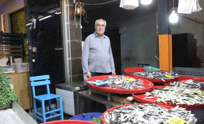 Bozdoğan’da balık tezgahlarının en çok tercih edilen çeşidi hamsi oldu