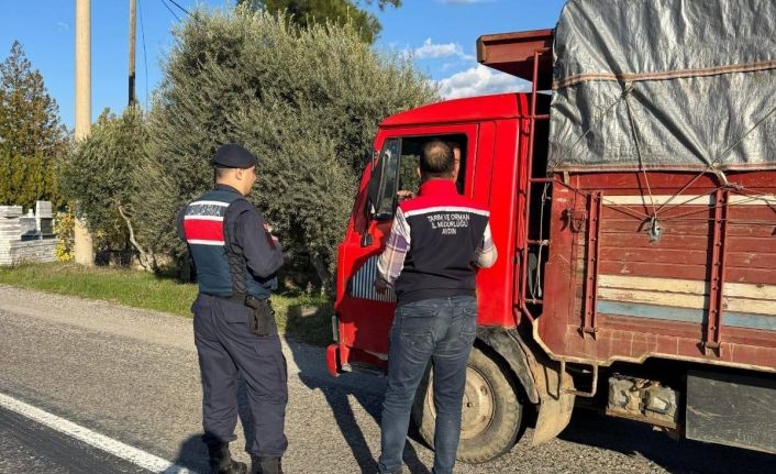 Bozdoğan’da ilçe tarım ve jandarmadan yol denetimi