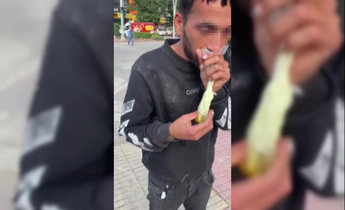 Caddede güpegündüz bali çekip kendinden geçti