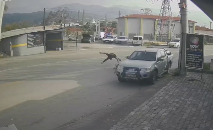 Ciple çarpışan motosikletin sürücüsü metrelerce savruldu