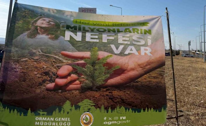 Cizre’de havalimanı yolu 450 fidan ile yeşilleniyor