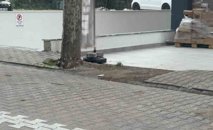 Çöpe atmak için yerden aldığı kargo poşetinin içinden 60 bin dolar çıktı