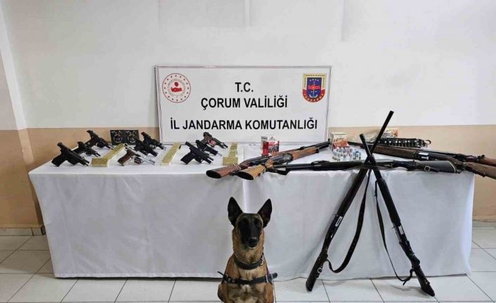 Çorum jandarmasından ’düğün magandaları’na operasyon : 11 gözaltı