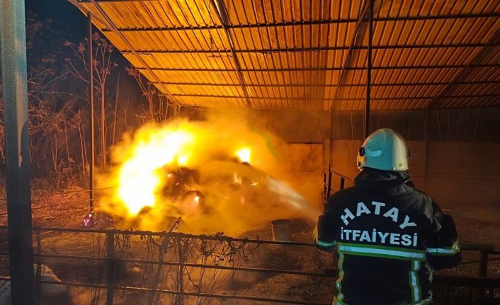 Defne’de samanlık yangını