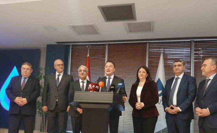 DEM Parti heyeti, DEVA Partisi ile görüştü