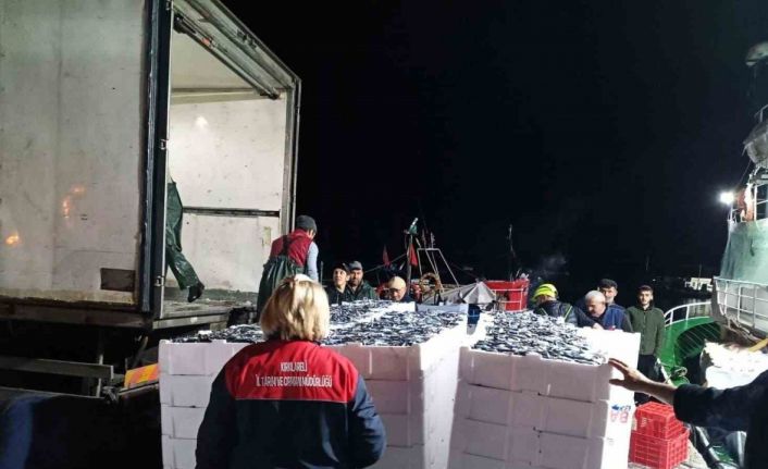 Demirköy’de hamsi denetimi