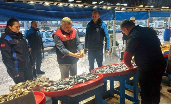 Denetim geldi, gerçek ortaya çıktı: Tezgahtaki balık "kolyoz" çıktı