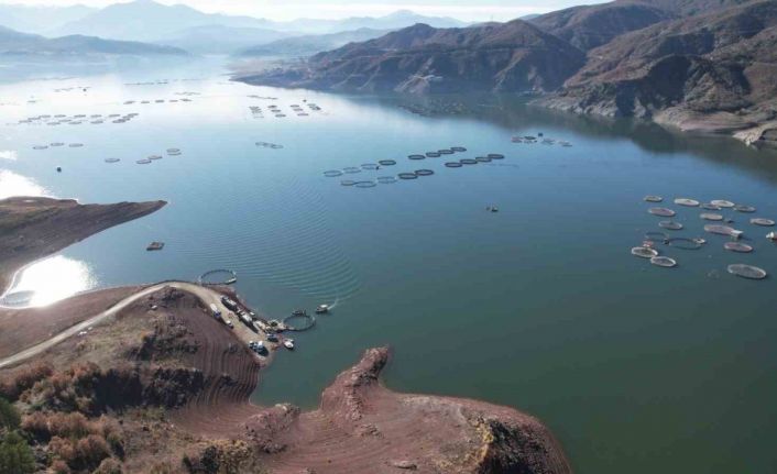 Denizi olmayan Tokat’ın somonları dünya sofralarına ulaşıyor