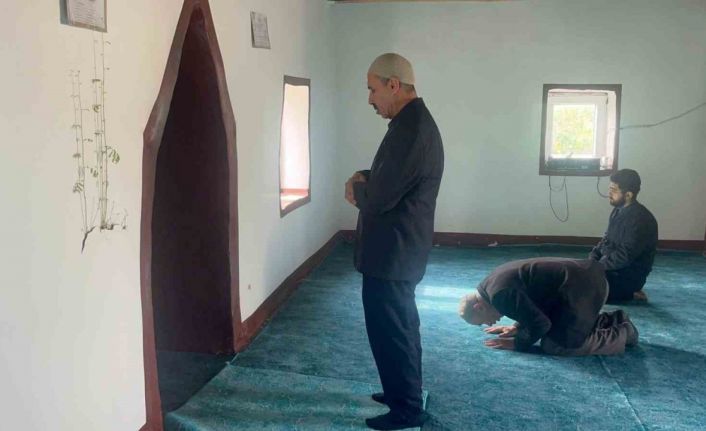 Diyarbakır’da bir caminin mihrap kısmındaki duvardan çıkan bitkinin yaprakları yeşerdi