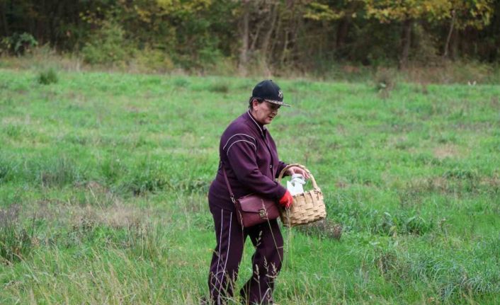 Doğaseverler Ormanya’nın zengin biyolojik çeşitliliğini keşfetti