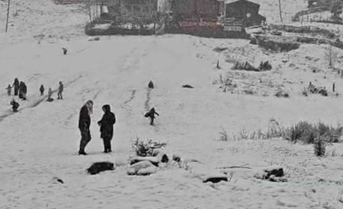 Dünyaca ünlü turizm merkezi Ayder Yaylası beyaza büründü