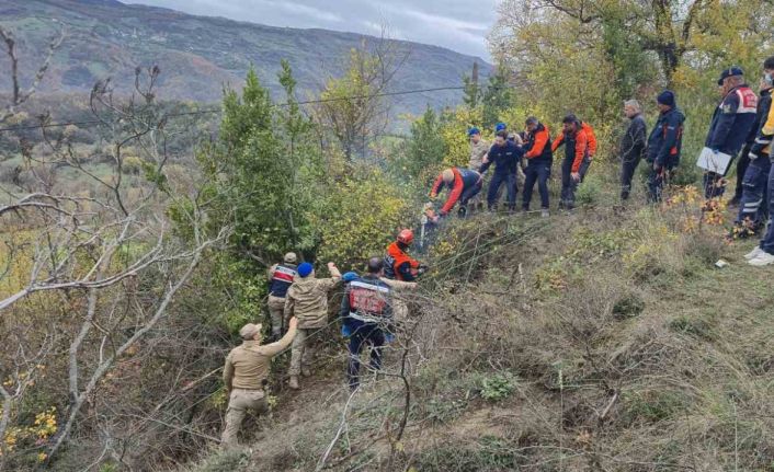 Düştüğü çalılık mezarı oldu