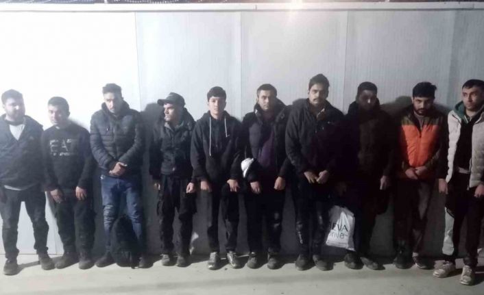 Edirne’de 20 kaçak göçmen sınırda yakalandı
