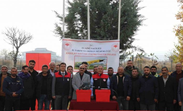 Elazığ’da hayvan üreticilerine kırkım makinası verildi