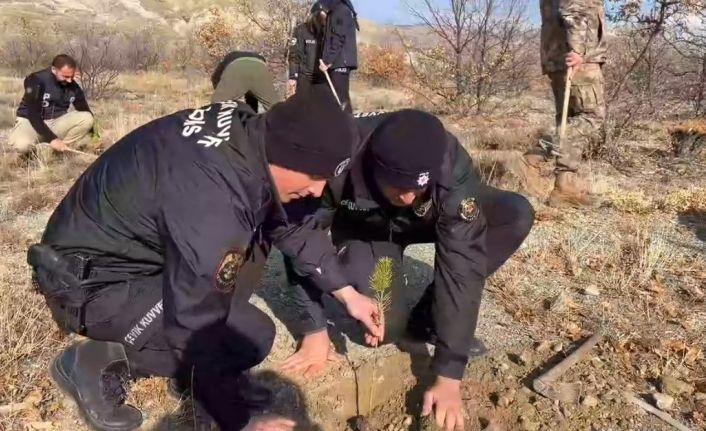 Erzincan Emniyeti 600 fidanı toprakla buluşturdu