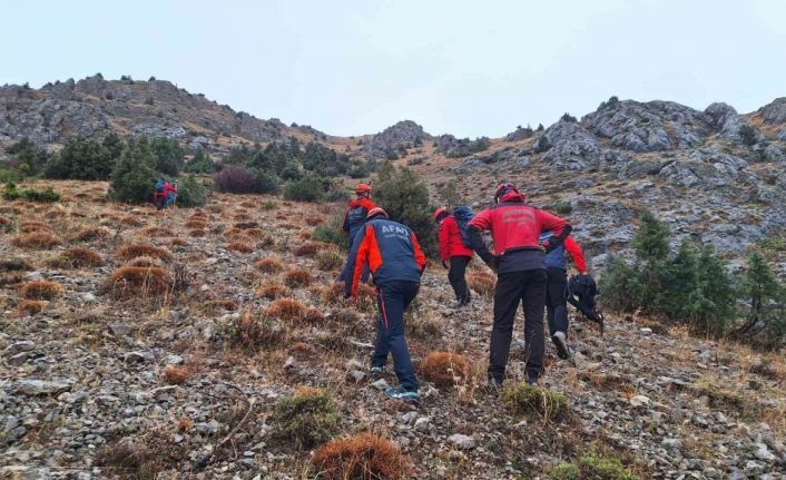 Erzincan’da kayalıklarda mahsur kalan 11 keçi 3 saatlik operasyonla kurtarıldı