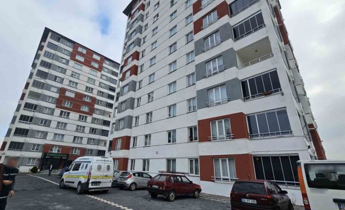 Evi taşınırken tartıştığı nakliyeciyi bıçakladı