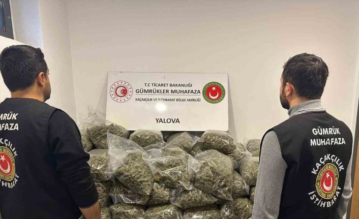 Fransa’dan Yalova’ya gemiyle gelen tırda 37 kilo uyuşturucu ele geçirildi