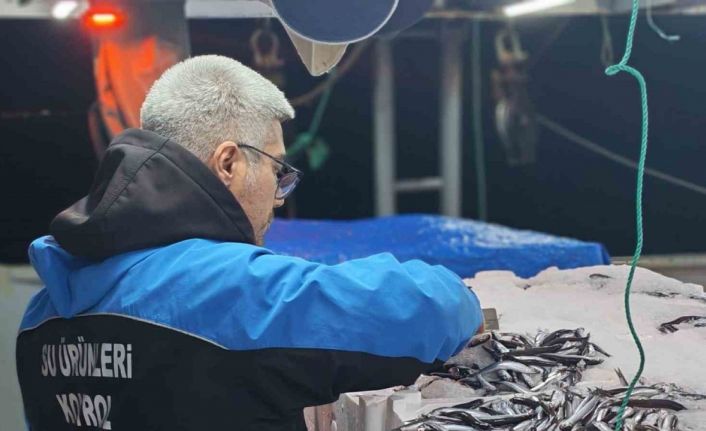 Gelibolu’da 45 kilo balığa el konuldu, 37 bin 770 lira para cezası kesildi