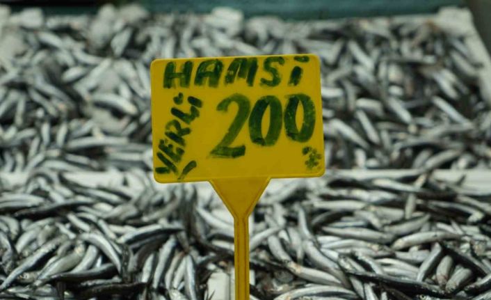 Hamside bolluk azaldı, fiyatı 200 TL’ye çıktı