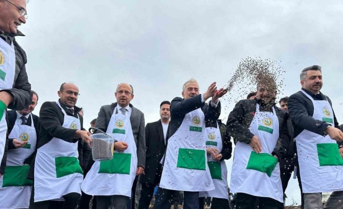 Harmancık’ta yanan 4 bin 256 hektar alan ağaçlandırılıyor