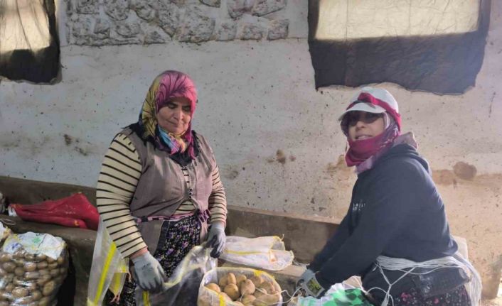 Hasadı biten patateste depolama süreci başladı