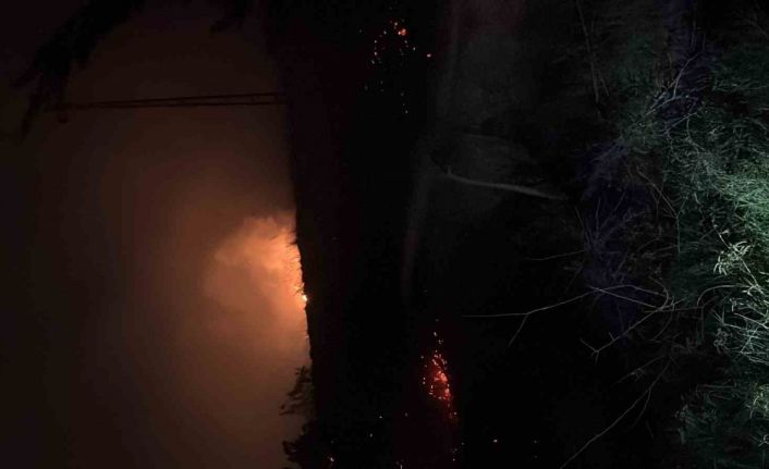 Hatay’da çıkan  otluk yangını söndürüldü