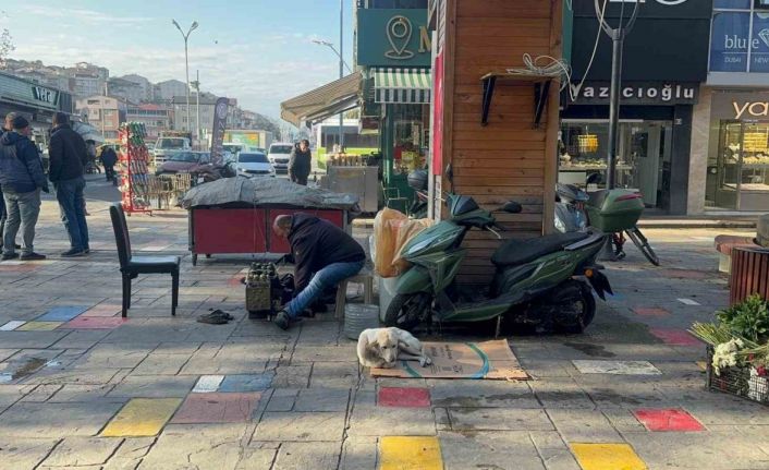 Hayata tutunan engelli köpeğe bebek gibi bakıyor