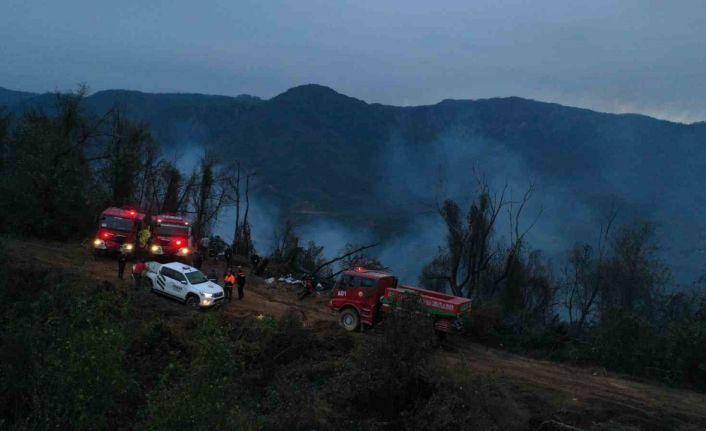 Hopa’daki orman yangını söndürüldü, soğutma çalışmaları sürüyor