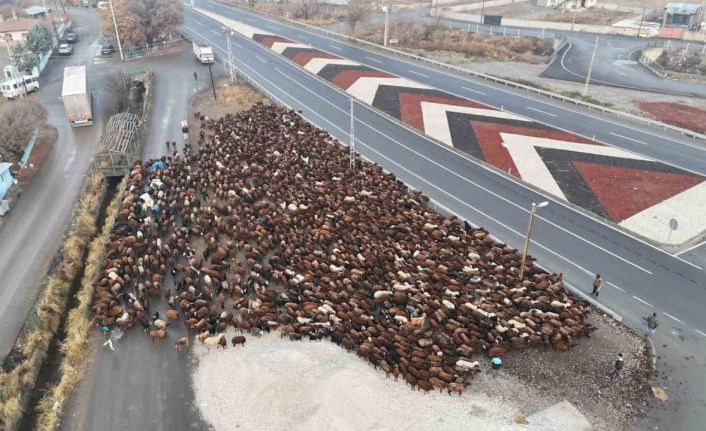 Iğdırlı göçerler, zorlu yolculuğun ardından Iğdır’a ulaştı